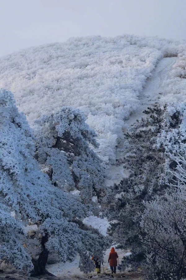 平618低价！周末不加价！野奢遛娃好去处！YAZA野在山川酒店 静谧之境 1晚含双早