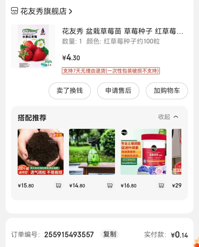 种子