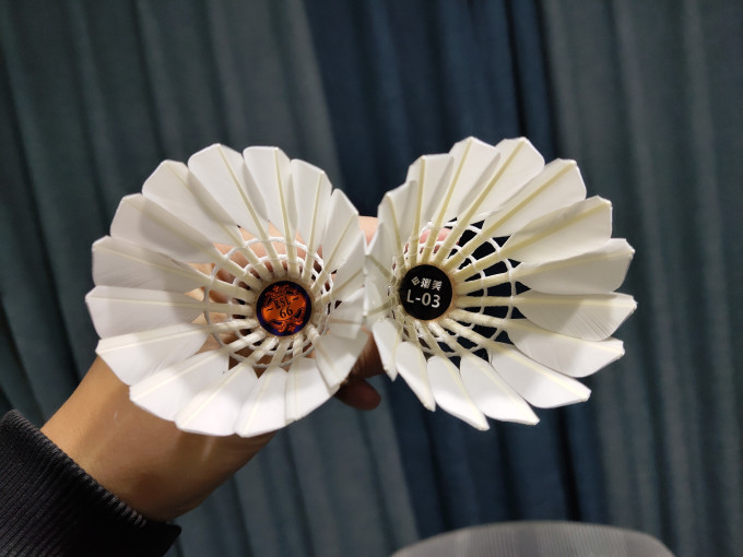 性价比耐打王亚狮龙66强推