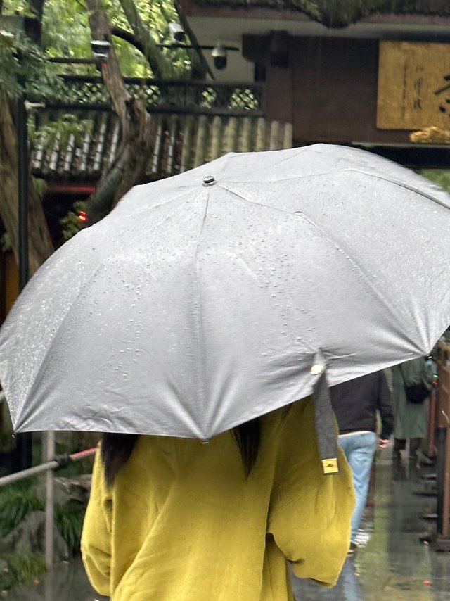 黑色雨伞永远不出错