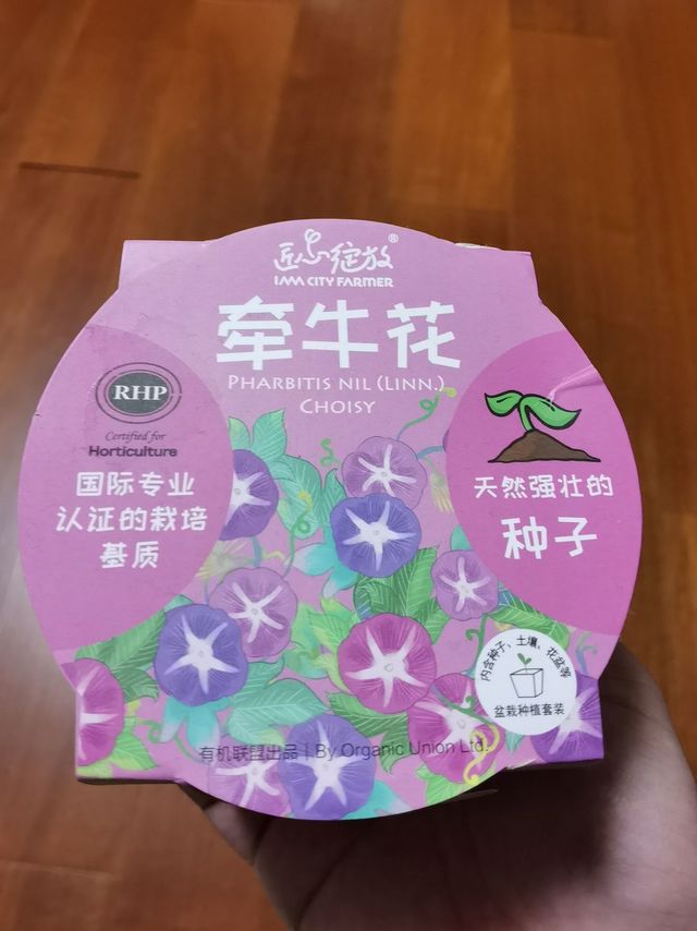 DIY牵牛花种植盆