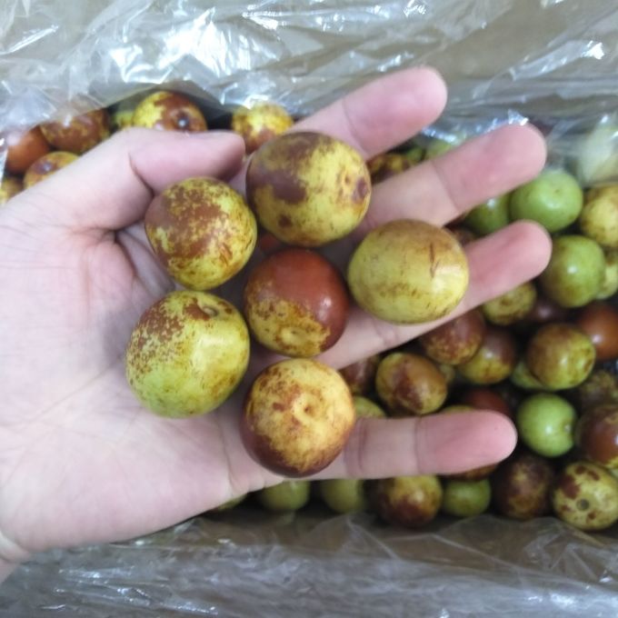 聚牛果园新鲜水果