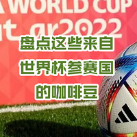 兔牙咖啡馆 篇八十五：盘点那些来自“世界杯”参赛国的咖啡豆，快来收藏这份特殊的咖啡豆单