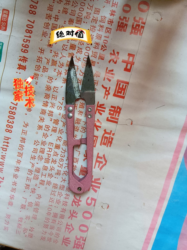 高颜值好用的小剪刀来啦！