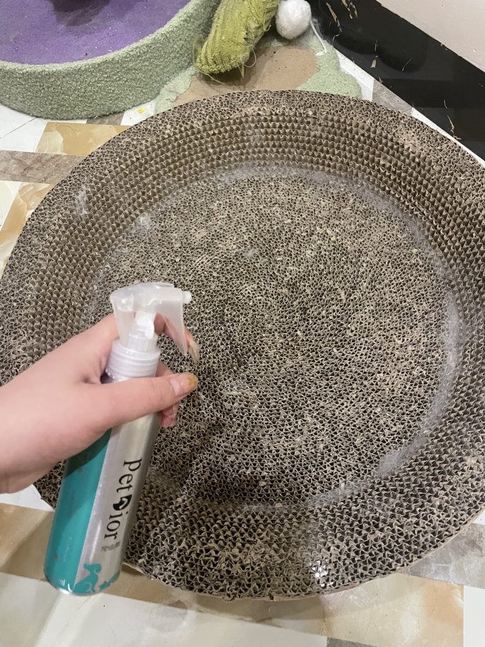 宠迪雅宠物洗护美容