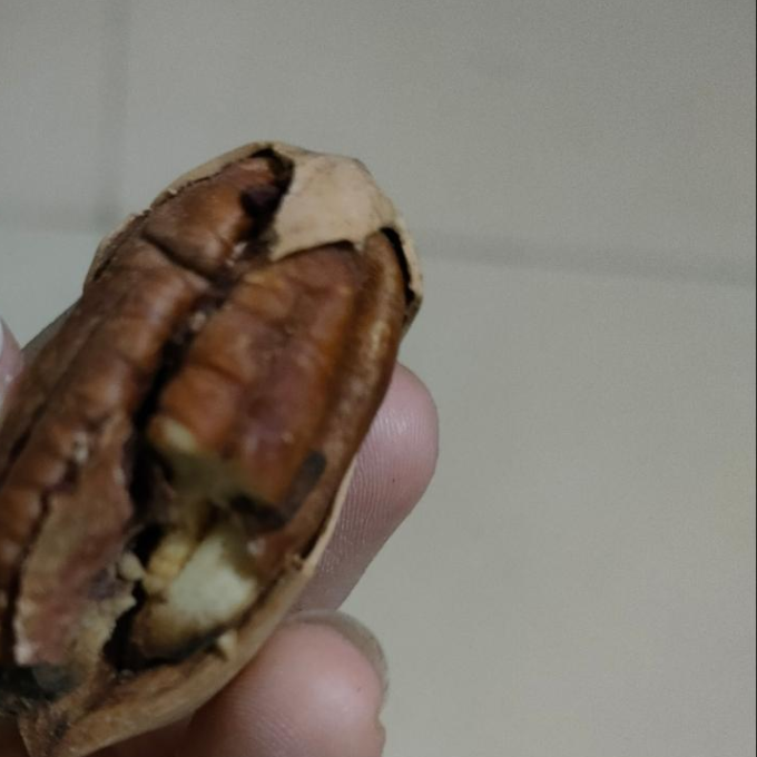 百草味碧根果