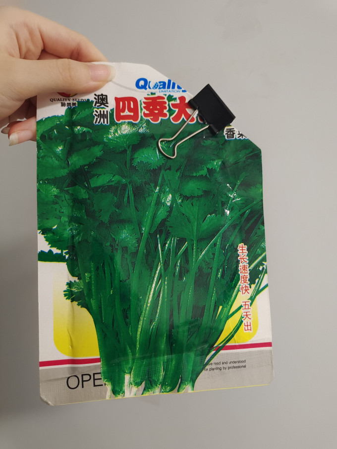 种子