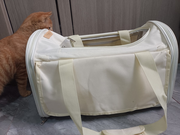 猫咪超喜欢又实用的猫包