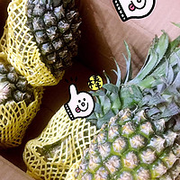 湛江徐闻的朋友给我寄了箱菠萝，很青，但是很甜～