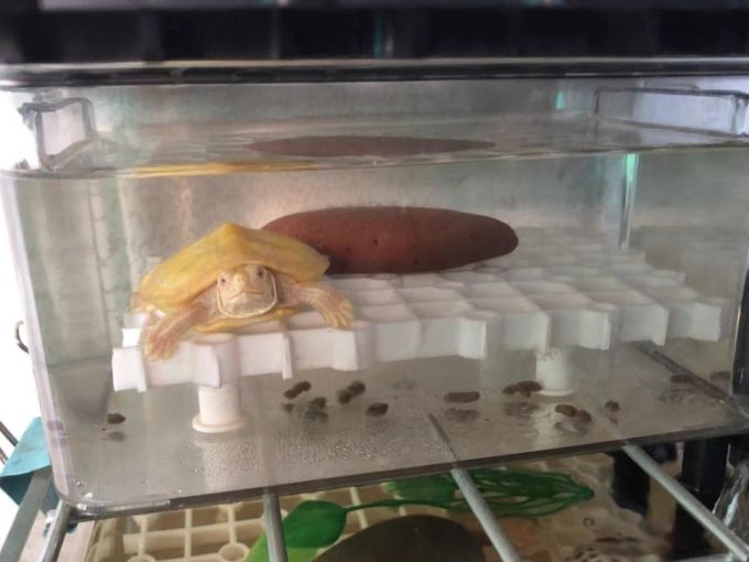 舒佳家收纳保鲜