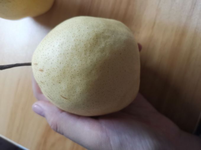 西贝哥其他水果