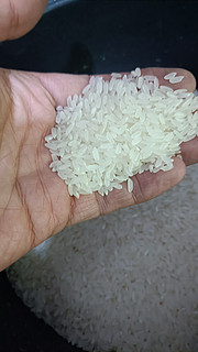 一年一季的十月稻田鲜米！