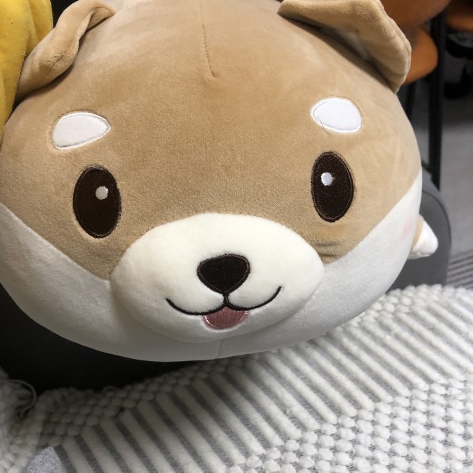 毛绒布艺