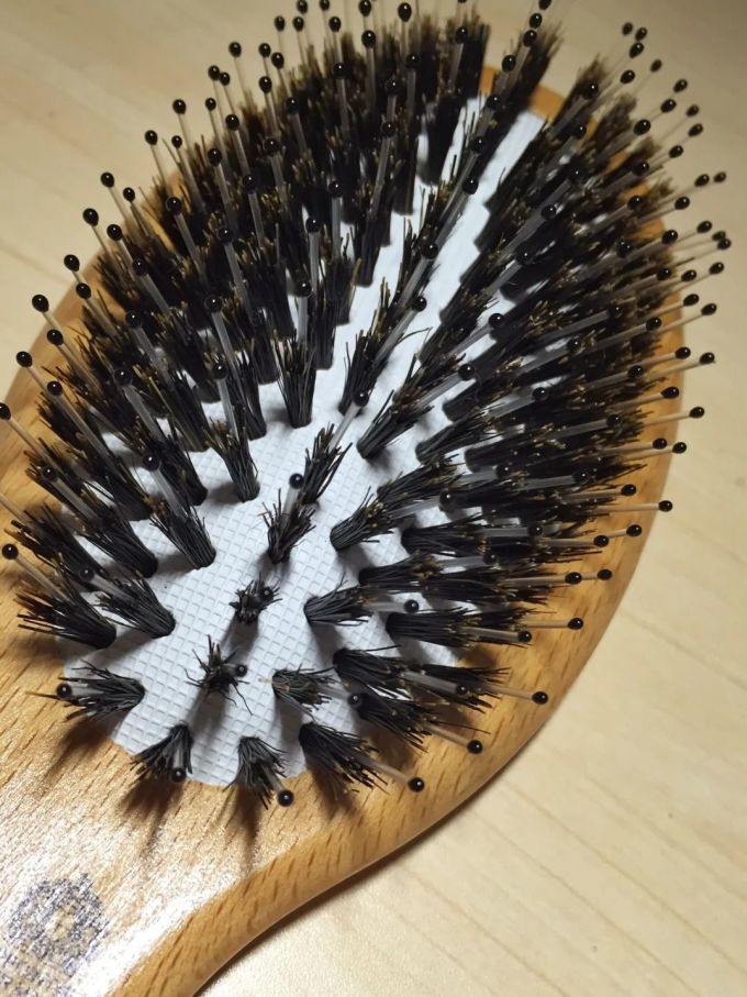 肯特梳子