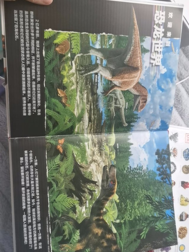 已经被小孩翻呈雾面了,太喜欢了从喜欢上