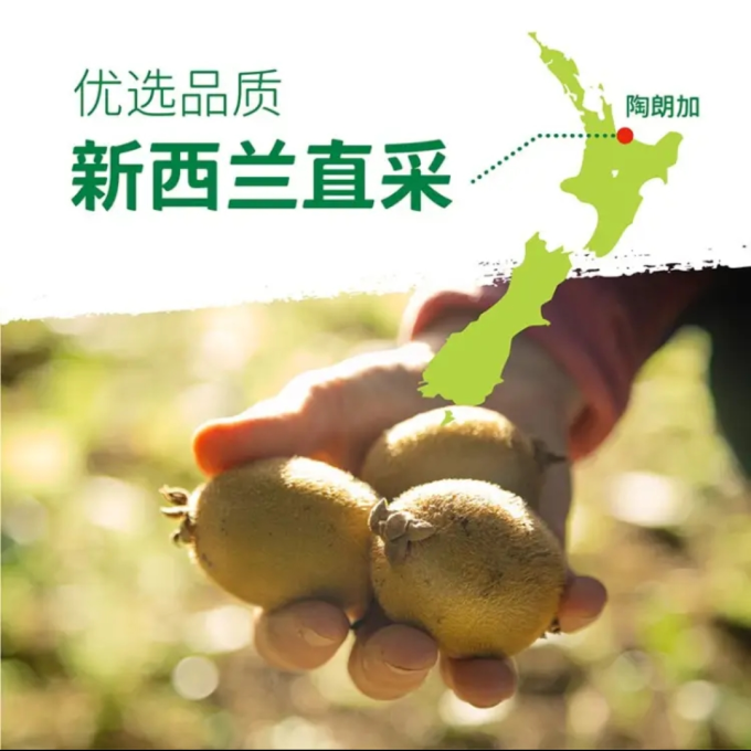佳沛奇异果/猕猴桃