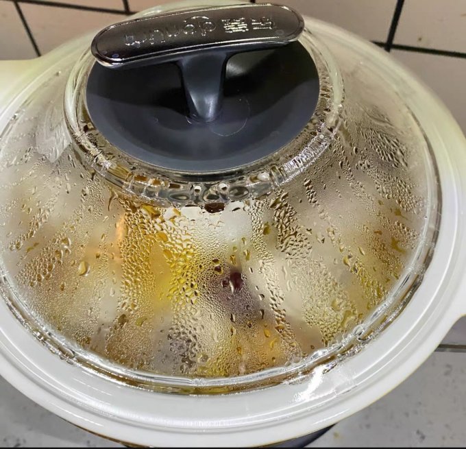 东菱电炖锅