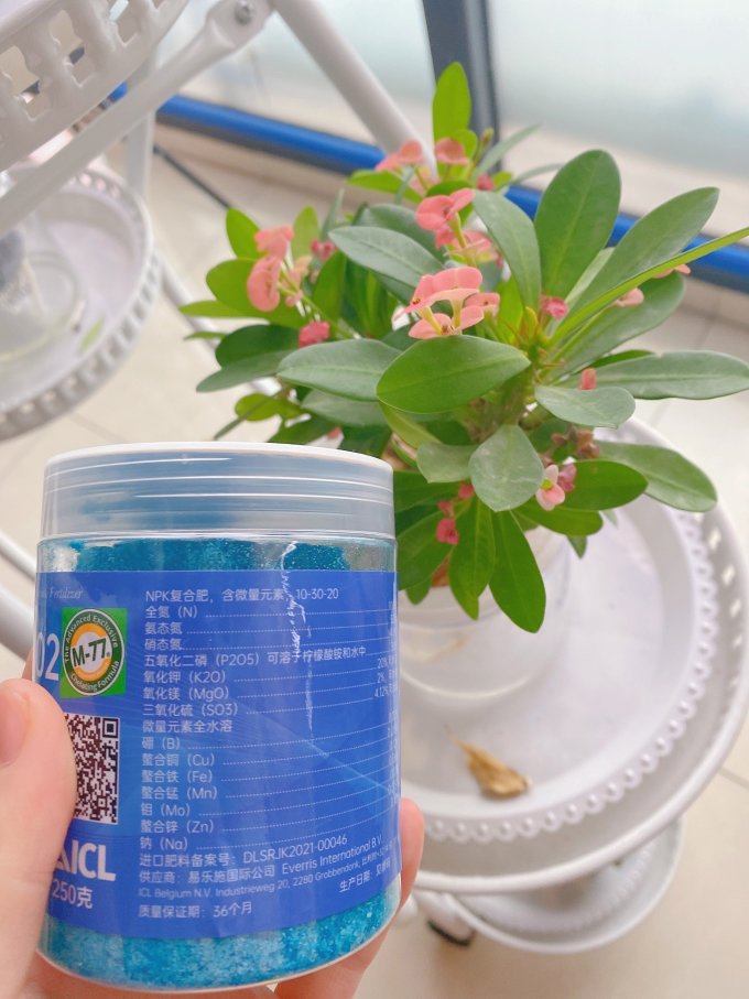 花多多其他园艺工具