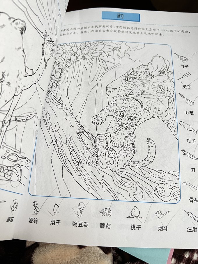绘本/图画书