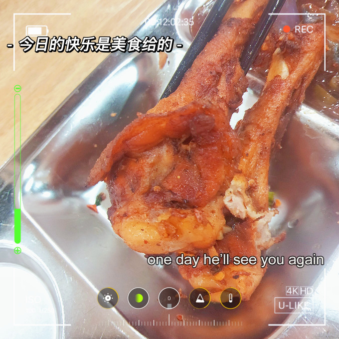 土记家禽类