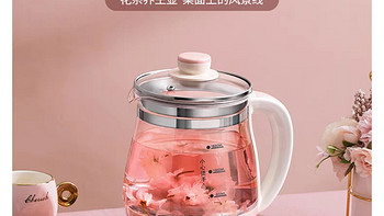 小浣熊养生壶H2家用多功能花茶壶玻璃1.6L煮茶器办公室自动烧水壶