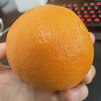 橙子吃什么样的好？