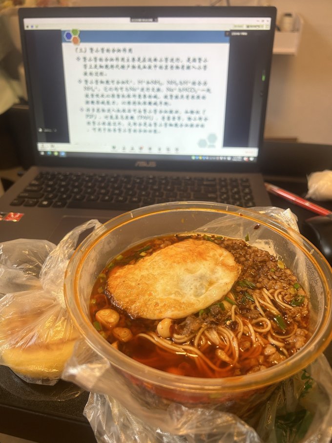 首顿方便面/粉