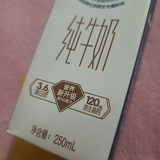 这个纯牛奶有点好喝？！