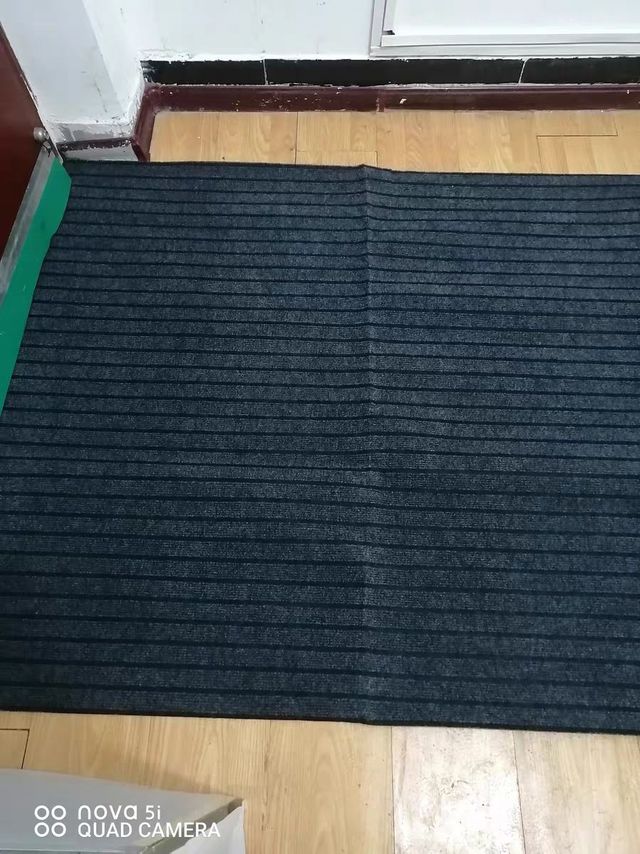 入户地垫  太合适