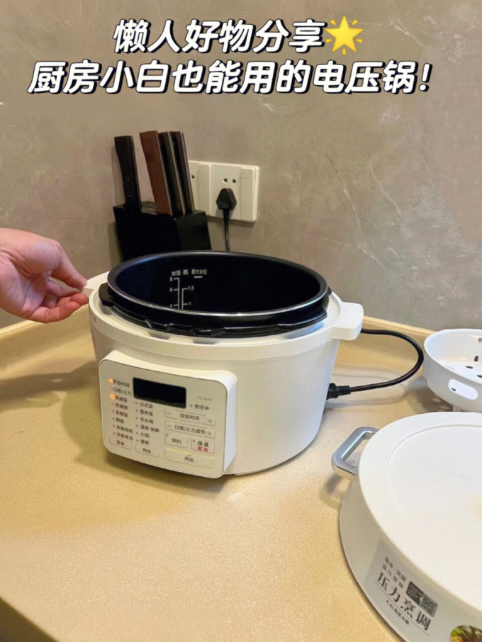 爱丽思压力锅