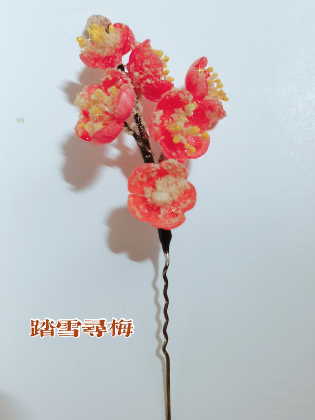 寻得雪中一枝红梅点缀发丝间