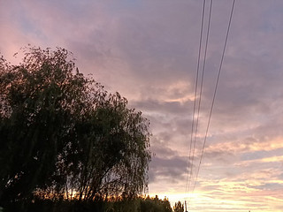 前几天下过大雨之后美景