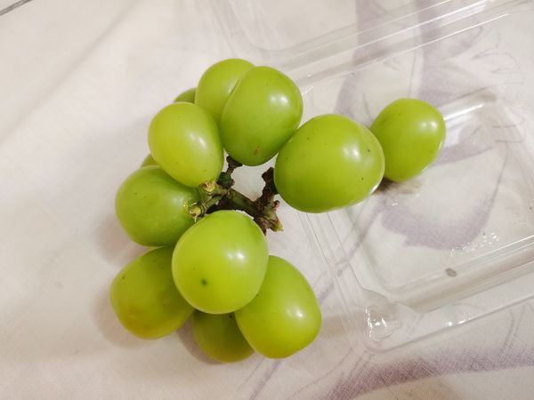 阳光玫瑰大青提水果盒