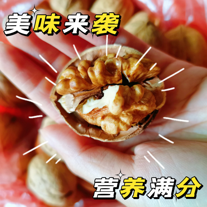 舌里核桃