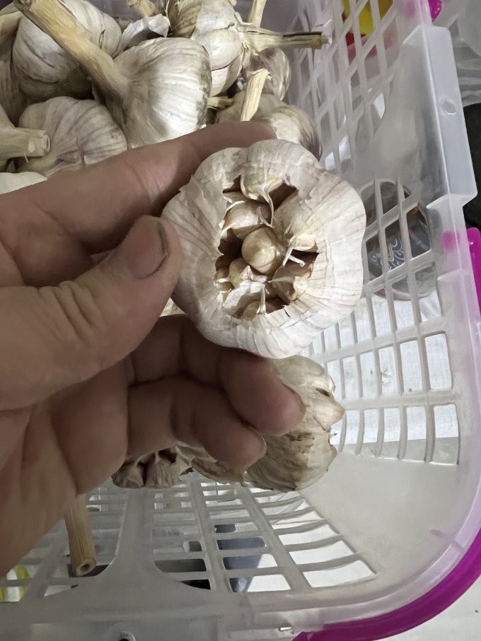 佳农蔬菜