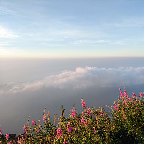 九峰山，我今年最值的登山活动，以后没机会了😭[发此文纪念]