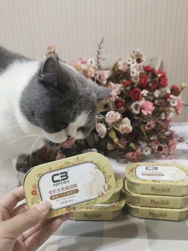 超推荐！C3帕缇朵主食罐！