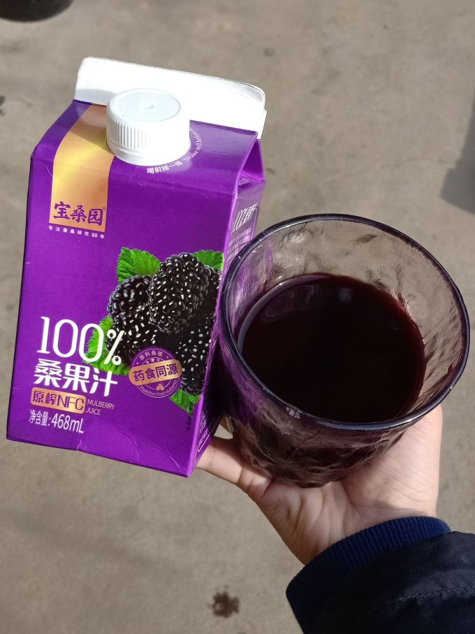 宝桑园果汁饮料