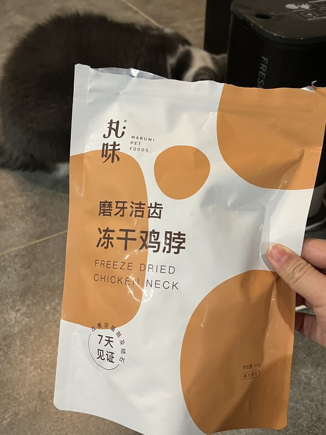 给不刷牙小猫吃这个！隔壁喵喵都馋疯啦！