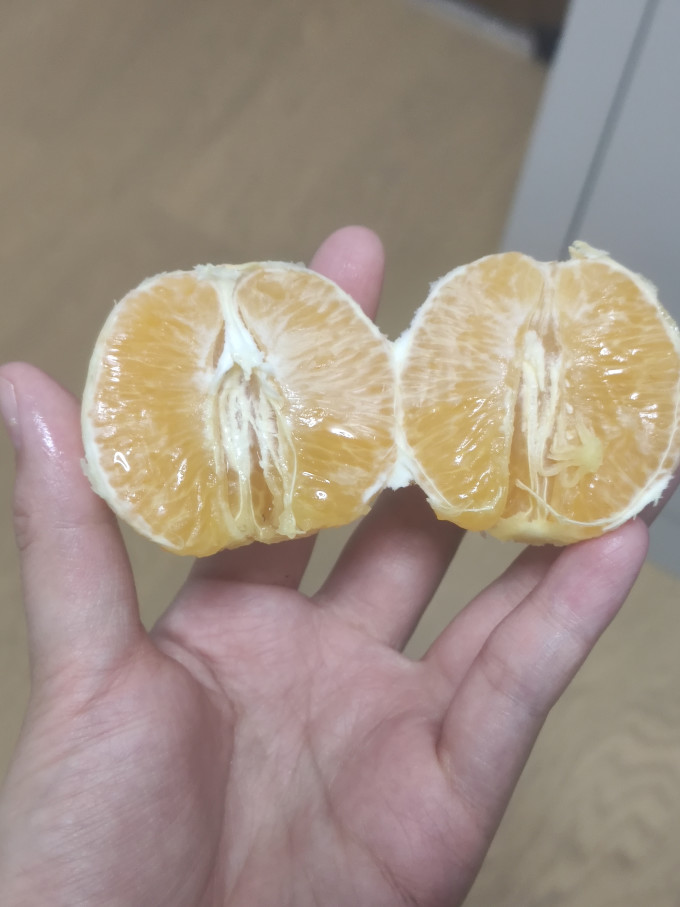 京觅橙子