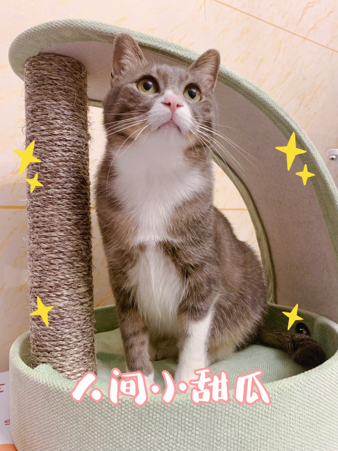普安特宠物洗护美容