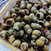 嗦螺的快乐有谁能懂