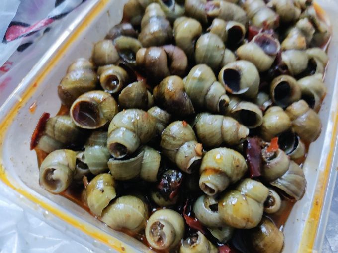 谁与争鲜贝类