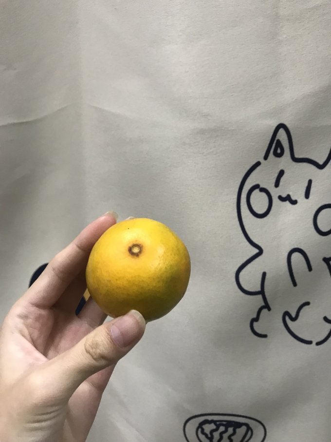 新鲜水果