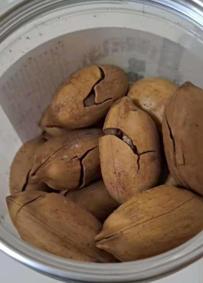 棒倍特碧根果