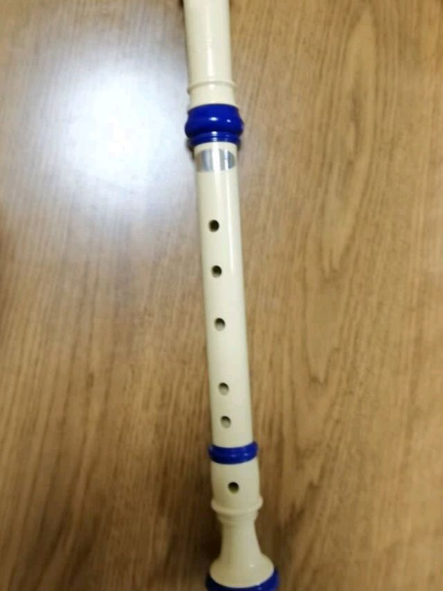 横笛不会吹，那就买根竖笛回来用吧