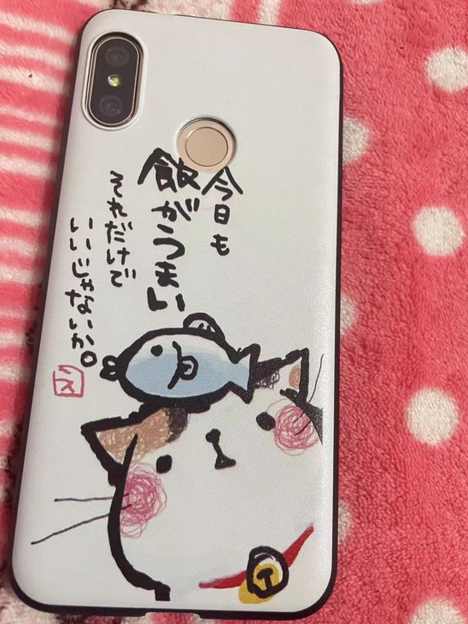 保护壳