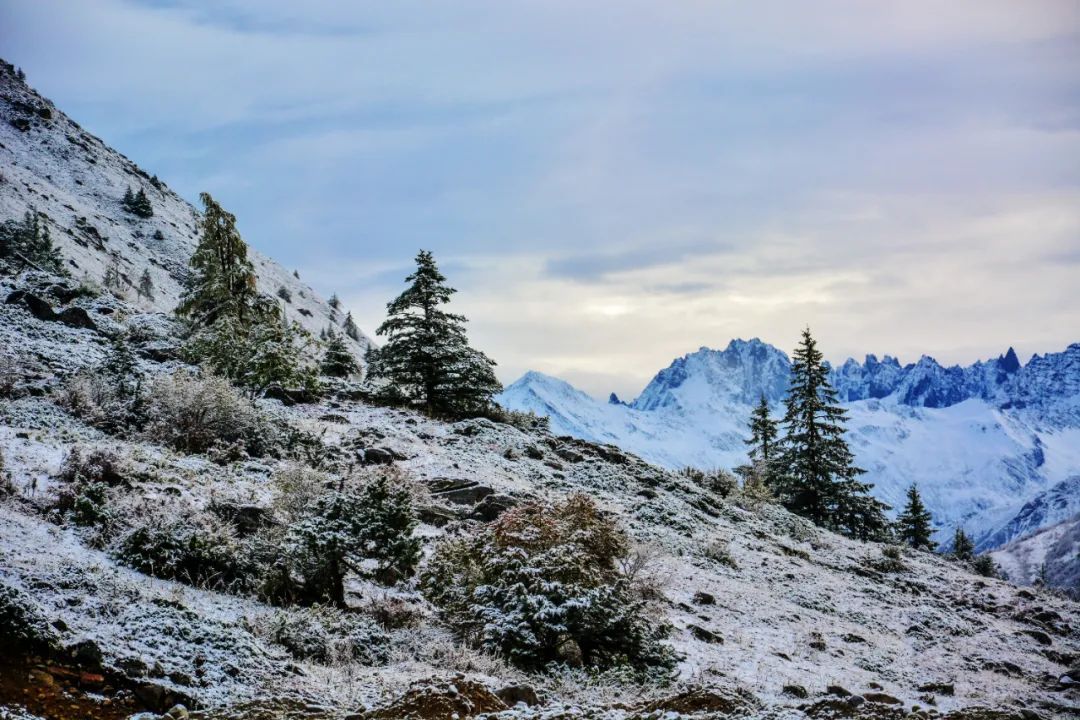 美轮美奂的冬景 ©摄图网