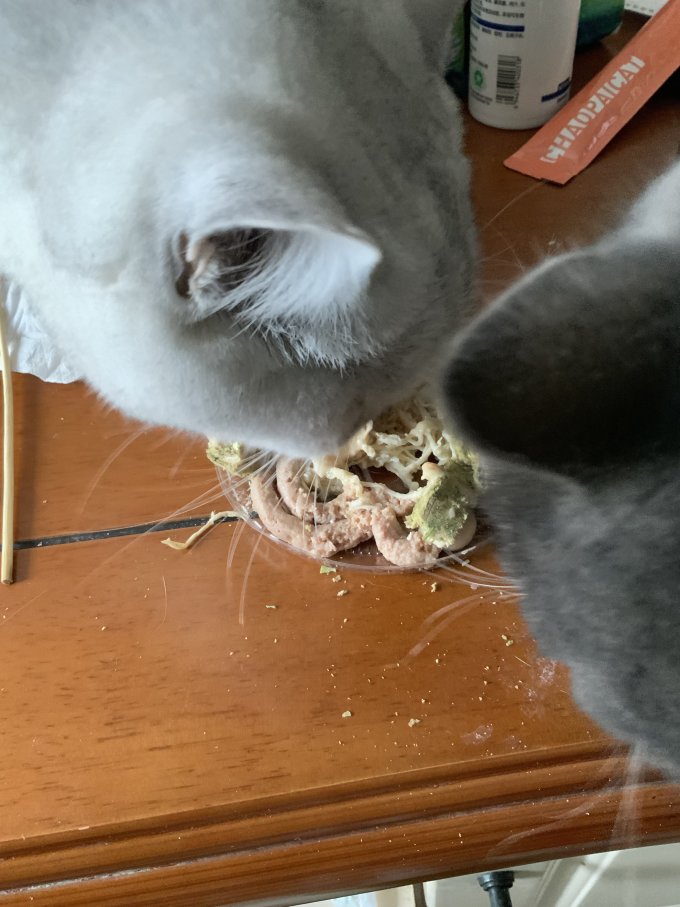 宽福猫零食