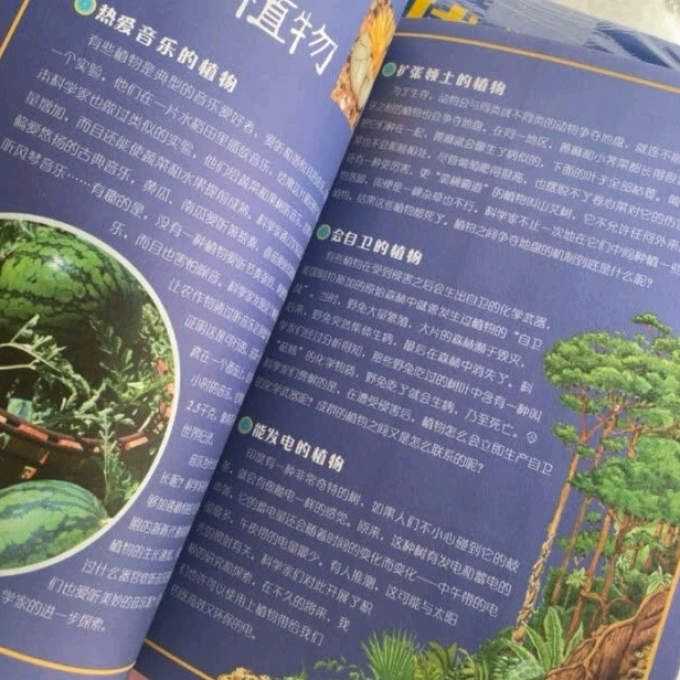 浙江教育出版社少儿读物